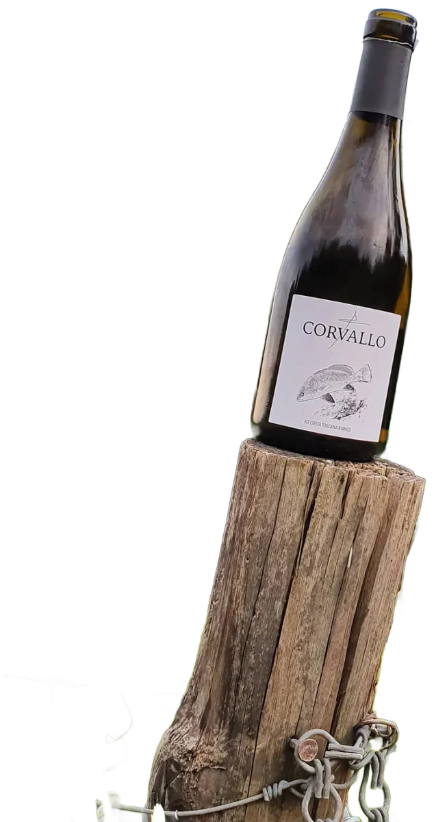 Corvallo