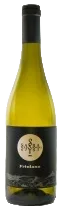 Friulano