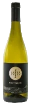 Sauvignon