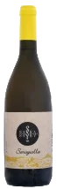Ribolla gialla