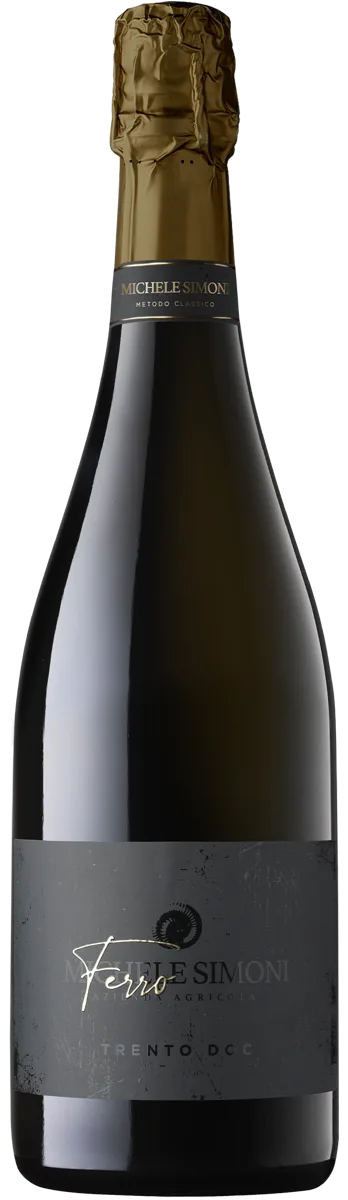 Ferro Simoni