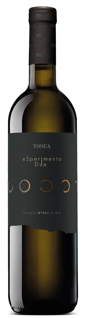 eSperimento Due