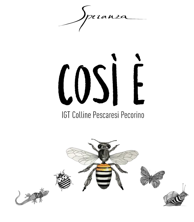 COSÌ È IGT COLLINE PESCARESI PECORINO