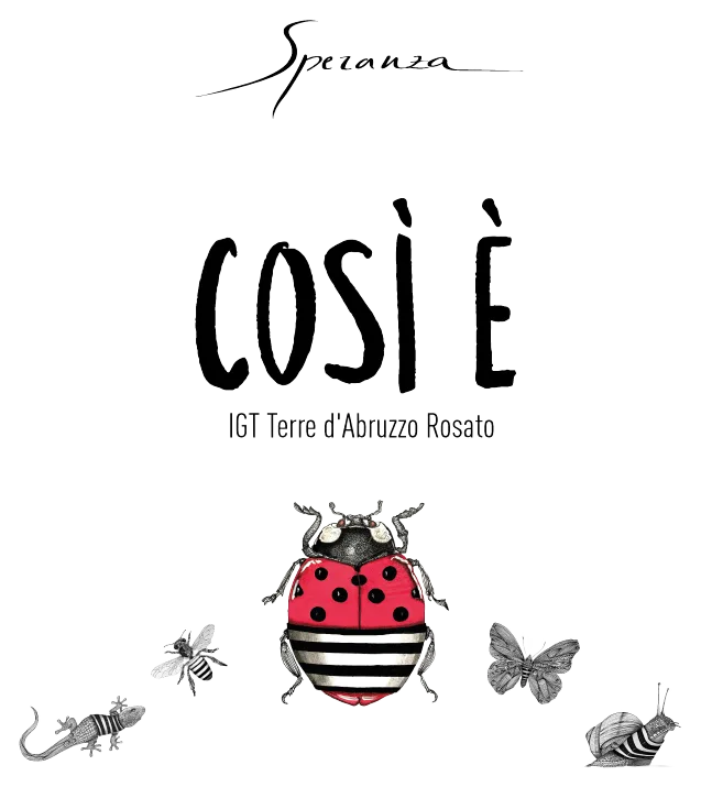 COSÌ È IGT TERRE D’ABRUZZO ROSATO