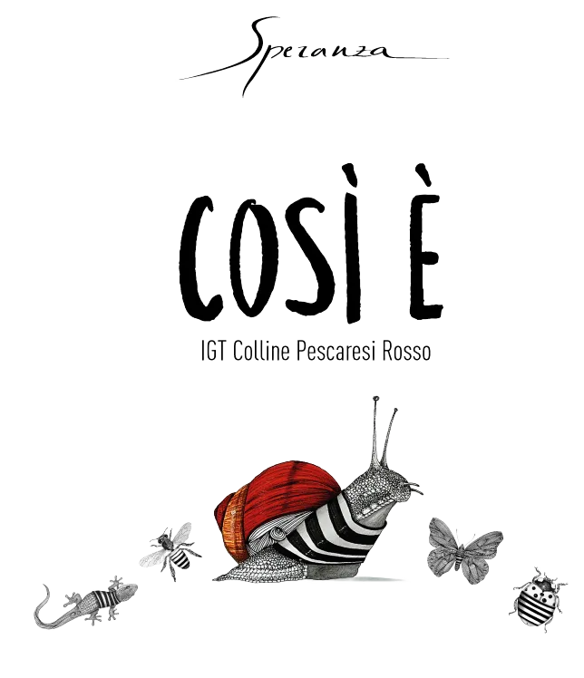 COSÌ È IGT COLLINE PESCARESI ROSSO
