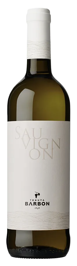 Sauvignon Bianco IGT Veneto