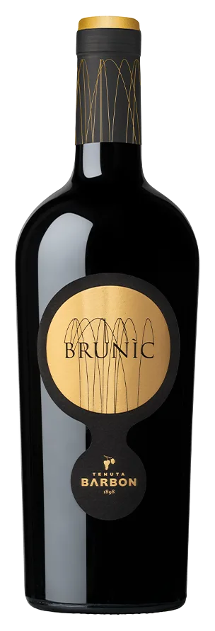 Carmenère Brunic Tenuta Barbon