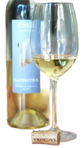 Vermentino di Gallura DOCG La Contra