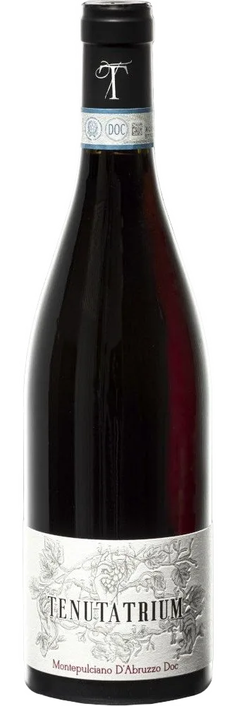 Montepulciano d'Abruzzo Colline Teramane DOCG 2022