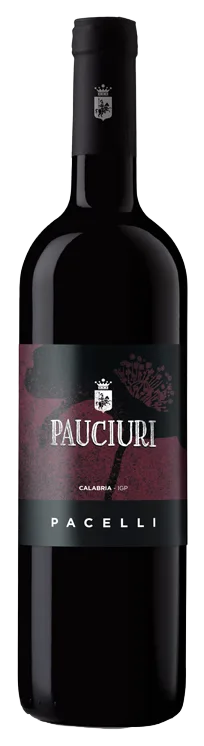 Pauciuri