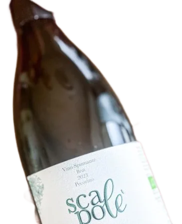 Scapolè
