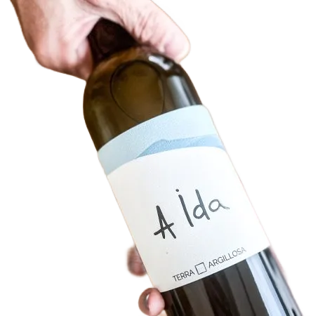 A ida
