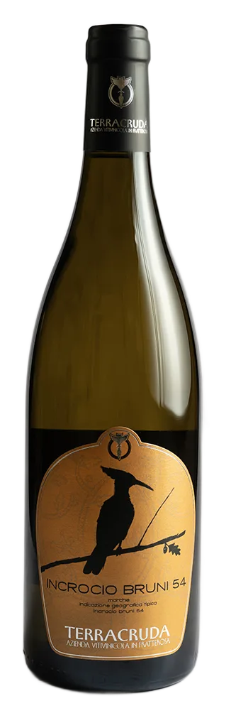 Incrocio Bruni 54