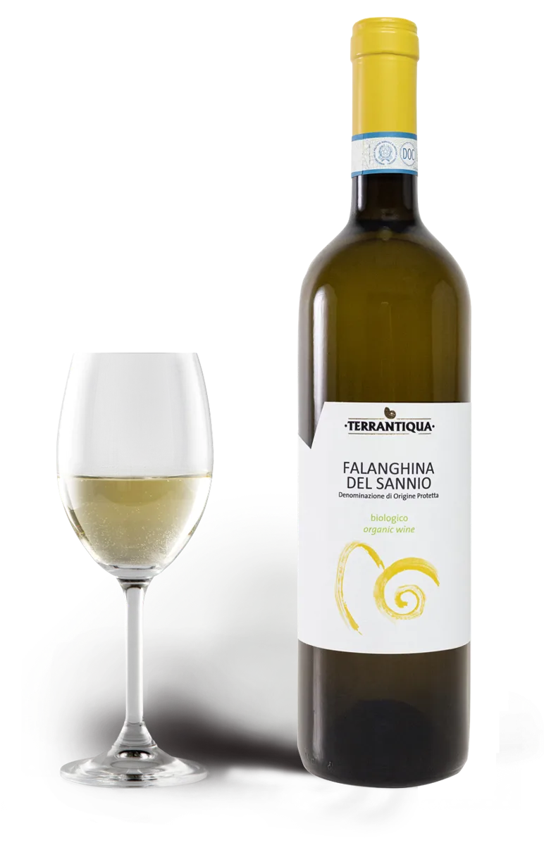 Falanghina del Sannio Doc Biologico