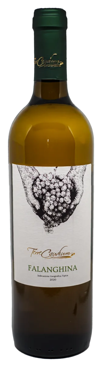 Falanghina