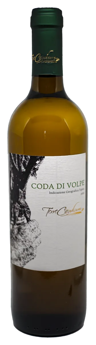 Coda di volpe