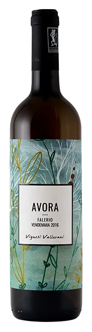 Avora