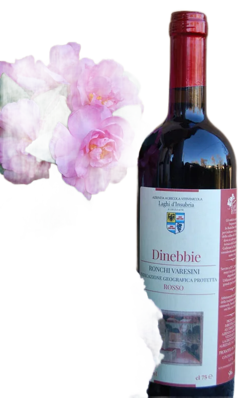 DINEBBIE