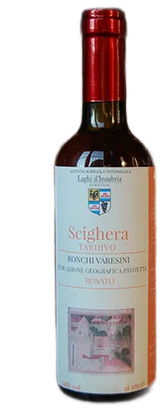 SCIGHERA TARDIVO – VENDEMMIA TARDIVA