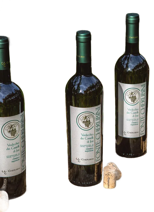 “Fonte Cherubini” Verdicchio dei Castelli di Jesi Classico Superiore