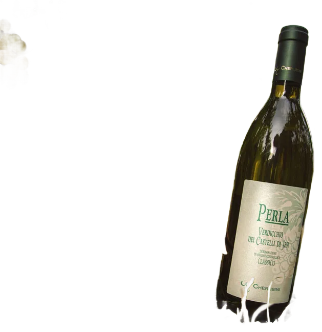 “Perla” Verdicchio dei Castelli di Jesi Classico