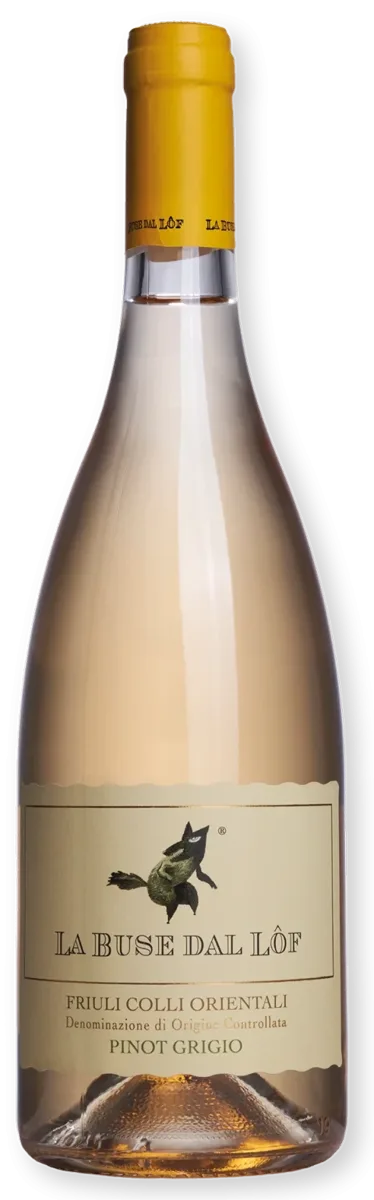 Pinot grigio
