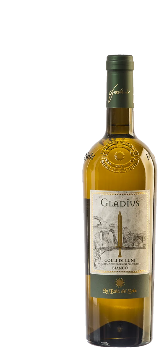Gladius