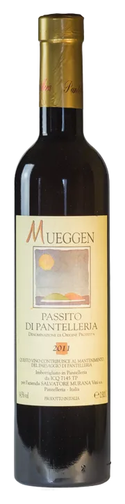 Mueggen