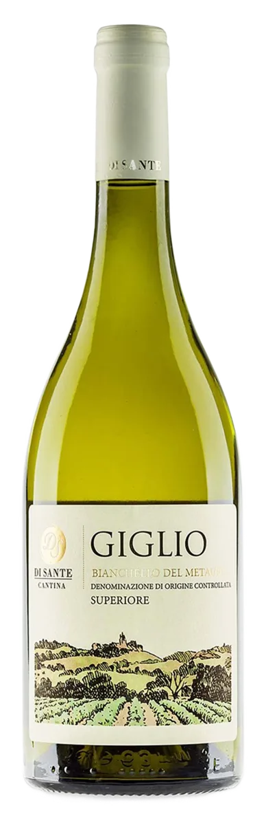 Giglio – Bianchello del Metauro D.O.C. Superiore Biologico