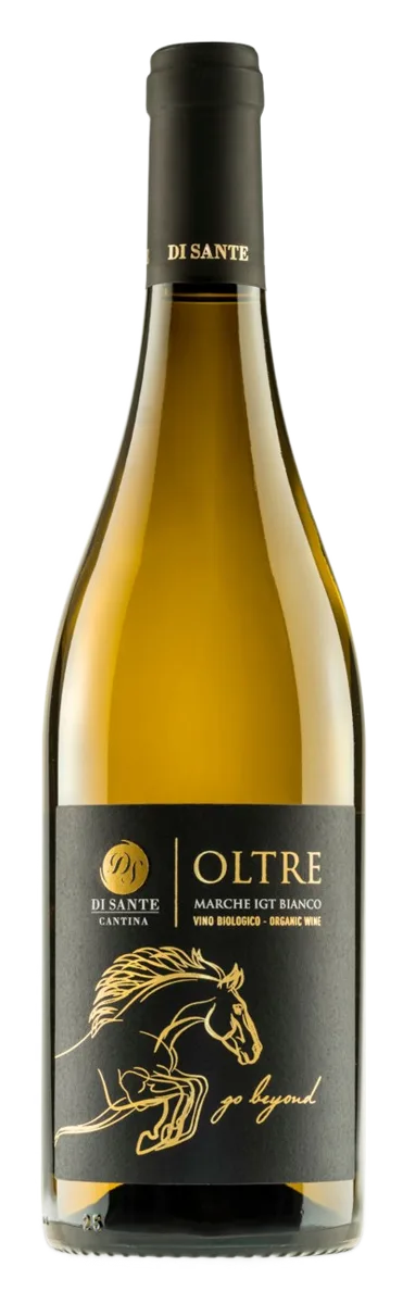 Oltre – Marche Bianco IGT Biologico