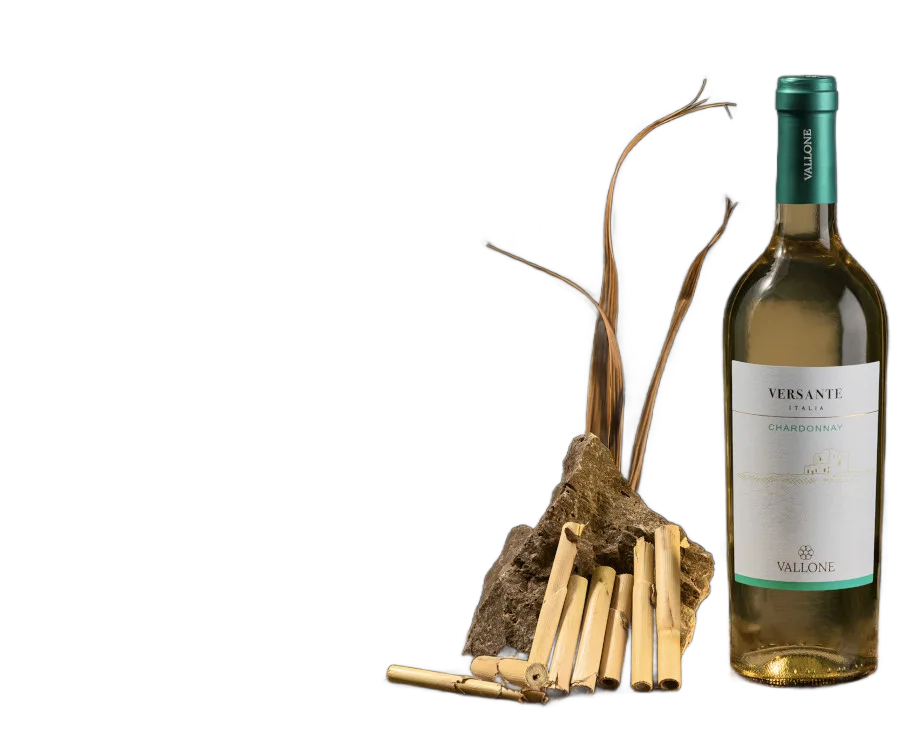 Versante Bianco Chardonnay I.G.P. Salento