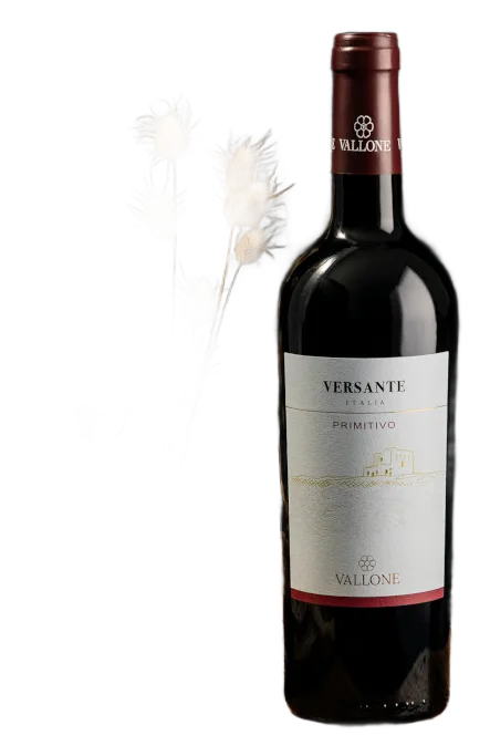 Versante Rosso Primitivo I.G.P. Salento