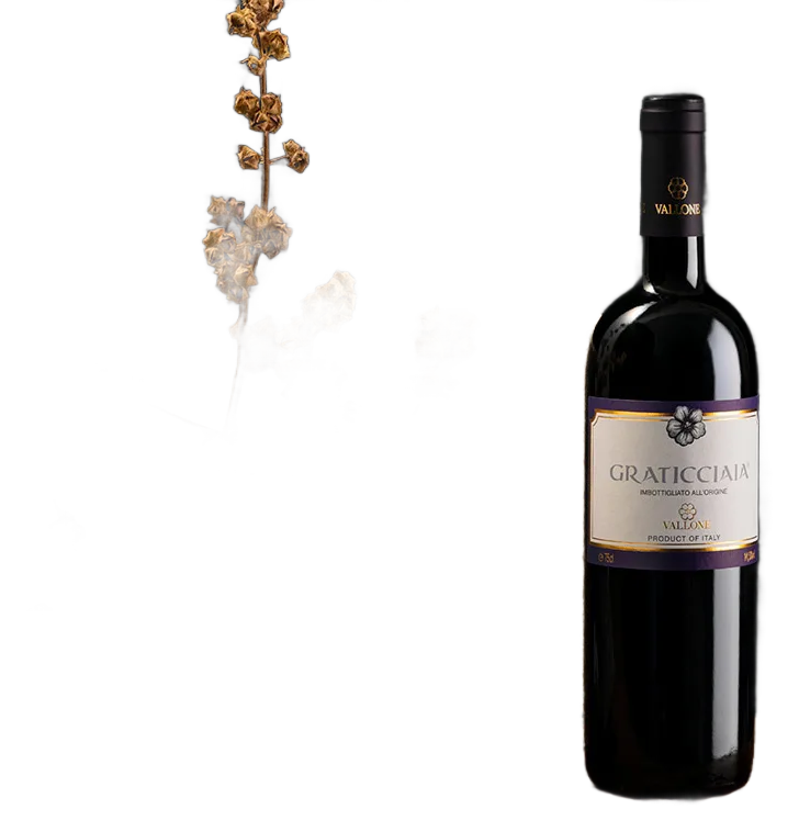 Graticciaia Rosso I.G.P. Salento