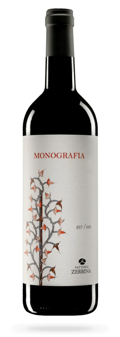 Monografia