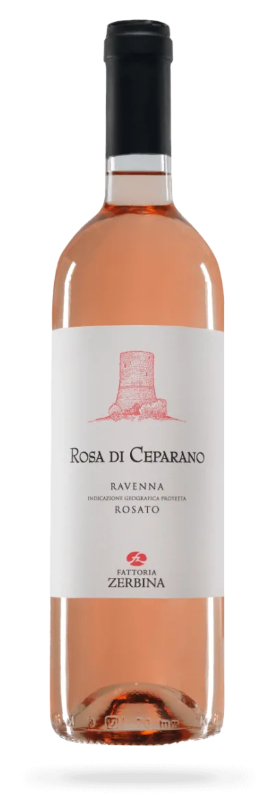 Rosa di Ceparano