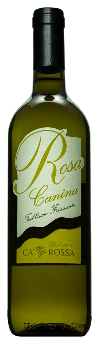 Rosa Canina Trebbiano Rubicone Frizzante IGP
