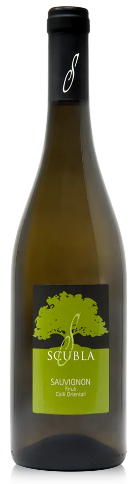Sauvignon