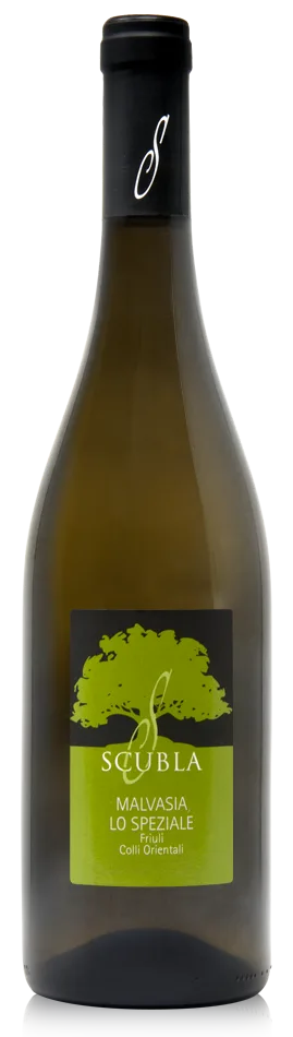 Malvasia “Lo Speziale”