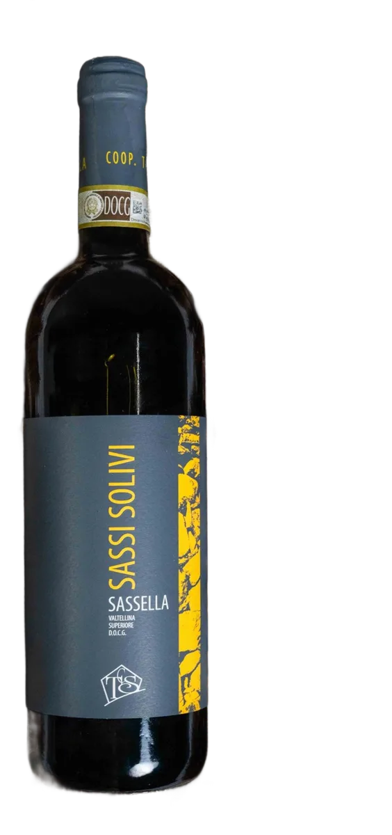 Sassi Solivi