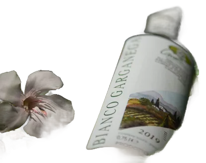 Bianco Garganega I.G.T.