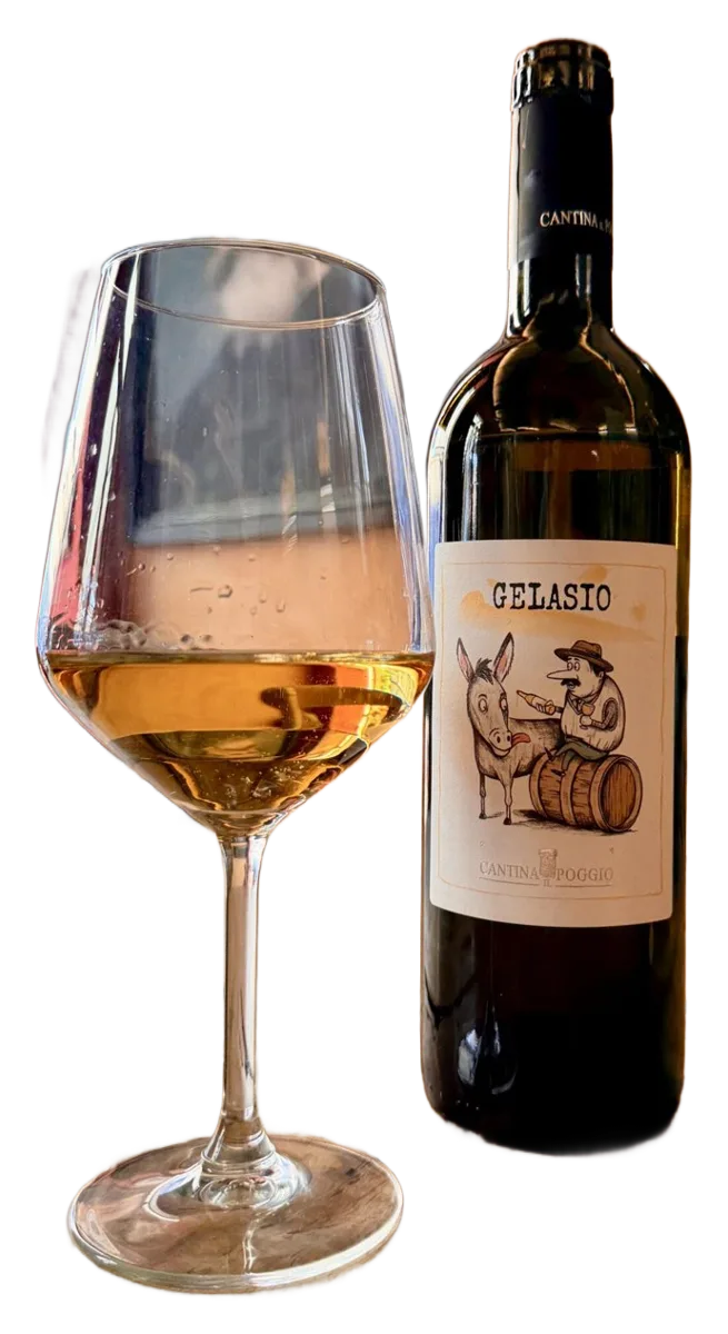 Gelasio