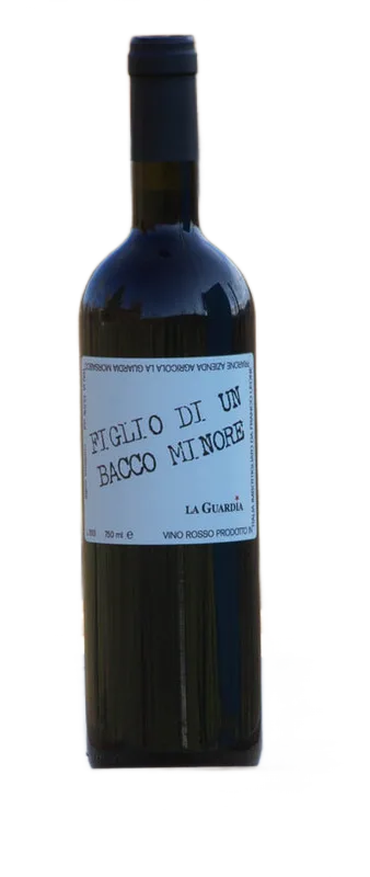 Figlio di un Bacco Minore