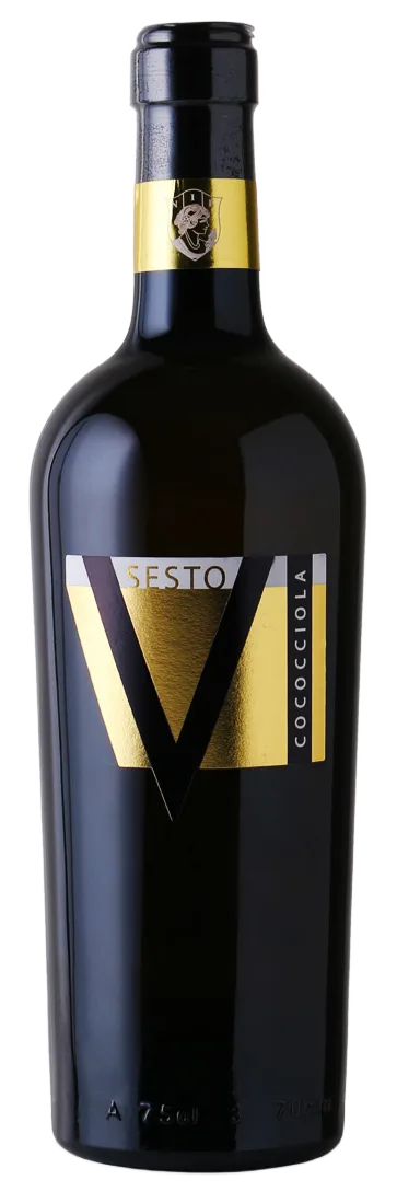 SESTO V Cococciola IGT Colline teatine