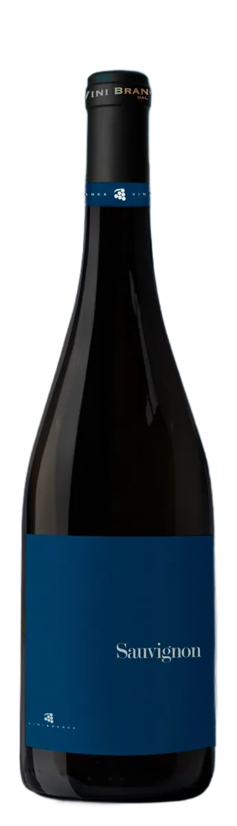 Sauvignon