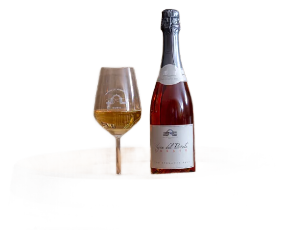 VIGNE DEL PORTALE BRUT ROSÈ