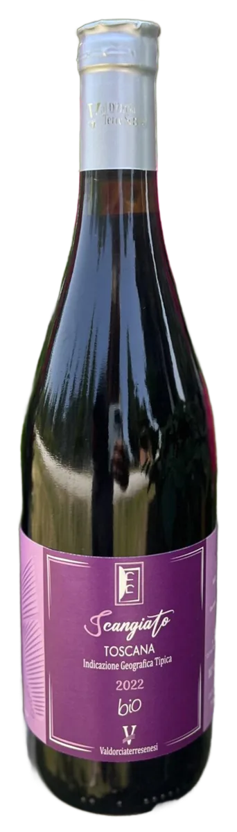 Scangiato