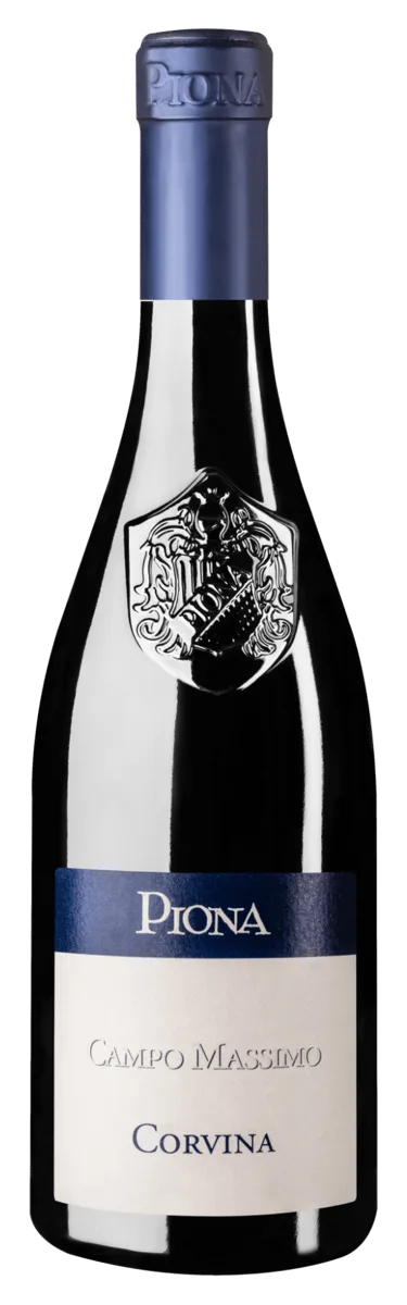 Corvina Campo Massimo