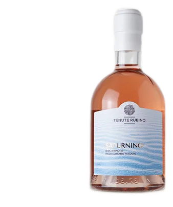 Saturnino 375ml