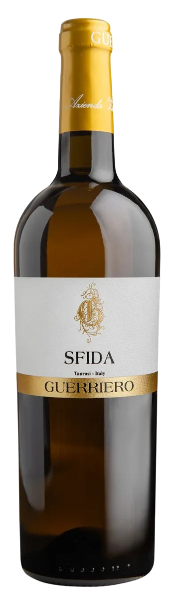SFIDA