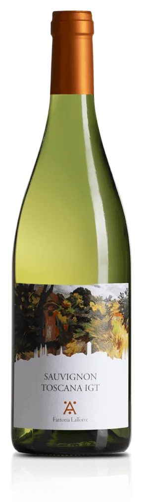 Sauvignon